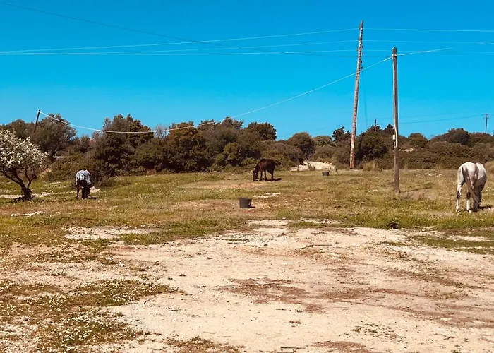 Naya Pool & Garden View Koskinou (Rhodes)
