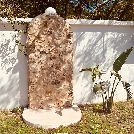 Naya Pool & Garden View *